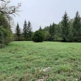 Terrain 1300 m² / CHATEAU-L'EVEQUE / 24460